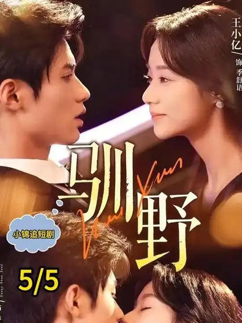 山河故人剧集封面